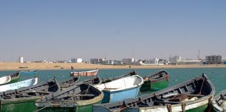 Empresas españolas expolian los bancos de pesca del Sáhara Occidental