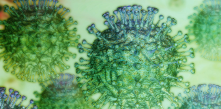 Santander improvisa medidas contra el coronavirus y pone en peligro la salud de sus trabajadores y sus clientes