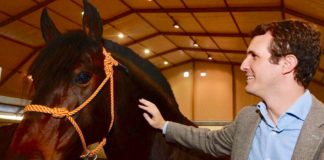 Casado quiere llegar a Moncloa cabalgando mentiras