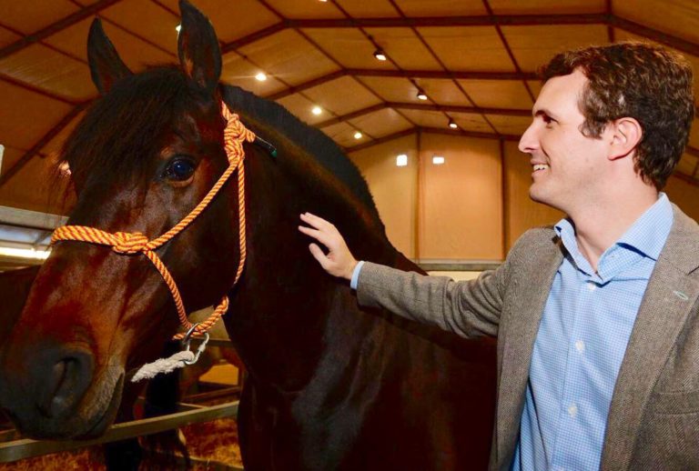 Casado quiere llegar a Moncloa cabalgando mentiras