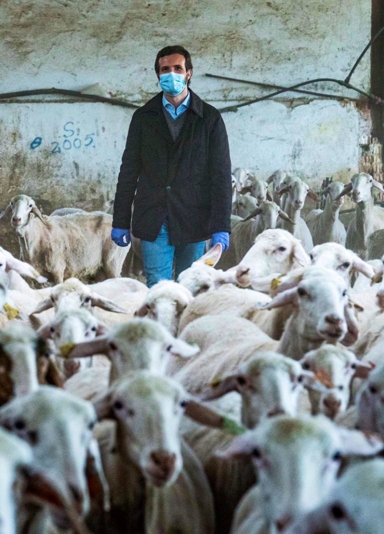 Casado utiliza el nombre de Rubalcaba de forma infame