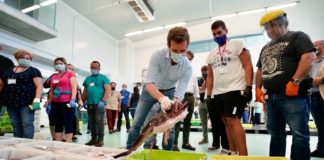 Casado: el jedi que se pasó al lado oscuro