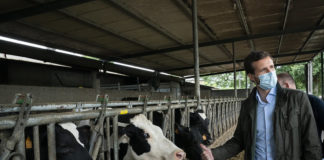 En el PP se perdieron todos los capítulos de Barrio Sésamo