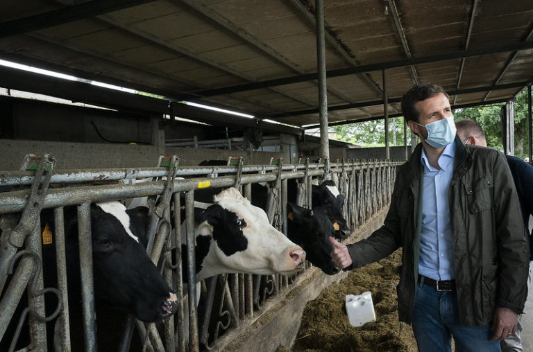 En el PP se perdieron todos los capítulos de Barrio Sésamo