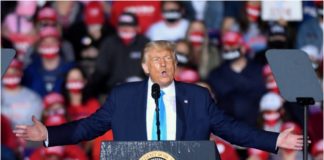 Bicho malo nunca muere, gana elecciones