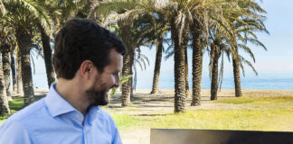 Casado, el “niño Pandemias” al que buscan sustituto