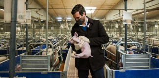 Se sospecha que Casado se ha vacunado contra el Covid