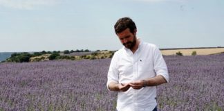 Casado es el “viejo del visillo” de la política