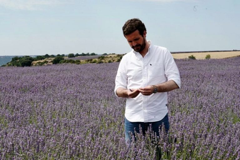 Casado es el “viejo del visillo” de la política