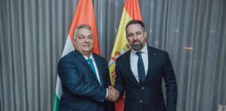 Mientras Casado dice cosas raras Vox pica piedra en CyL