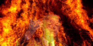 Leonel Fernández, nuevo miembro de la «organización» de Trump, Bolsonaro, Le Pen, Meloni y Abascal