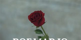 Se pierde un profesor pero se gana un poeta