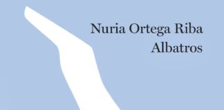 Un albatros para la belleza poética