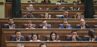 Los diputados no tienen cerebro (y posiblemente tampoco corazón)