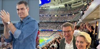 Vaya a votar con toda la mala leche que pueda