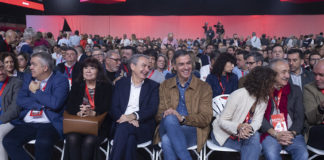 ¿Qué pintan los delegados en el PSOE?