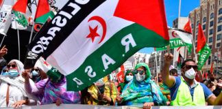 Pedro Sánchez, demagogia sin límite moral: Bien en Gaza, terrible con el Sáhara Sáhara