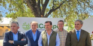 Vox nos toma por tontos y si son de Ciudad Real más