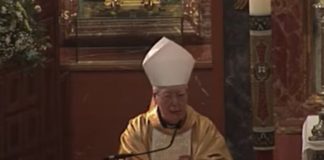 Las salvajadas que se leen para defender a Reig Pla