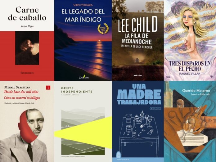 novedades 27-31
